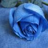 Синяя роза - Цветы GIF