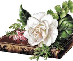 Роза белая и книга - Цветы GIF