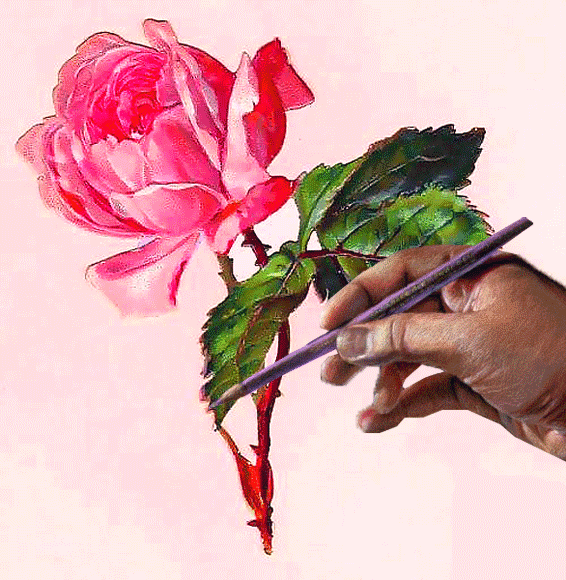 Рисунок розы, Цветы GIF