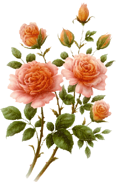 Блестящие розы