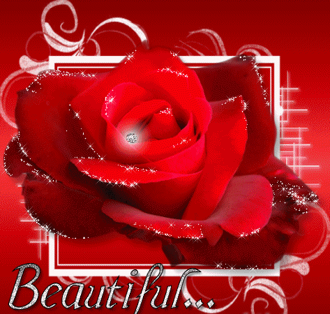 Красивая мерцающая роза