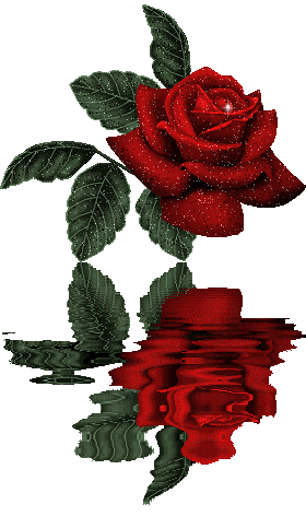 Цветы блестящие - роза