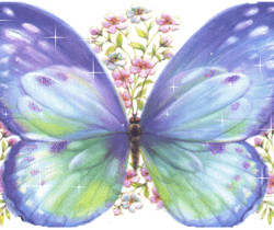 Голубая большая бабочка - Картинки бабочки анимашки