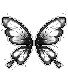 Серая бабочка анимация - Картинки бабочки анимашки