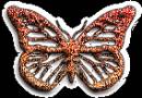 глиттер бабочка - Картинки бабочки анимашки