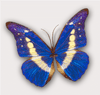 Бабочка синяя - Картинки бабочки анимашки