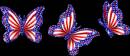 Американские бабочки - Картинки бабочки анимашки