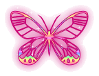 Блестящяя бабочка, анимация - Картинки бабочки анимашки