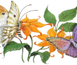 Блестящие бабочки и цветы - Картинки бабочки анимашки