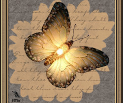 Мотылёк - Картинки бабочки анимашки