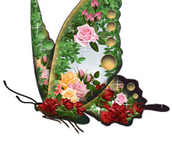 Бабочка из цветов - Картинки бабочки анимашки