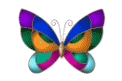 Блестящяя бабочка, анимация - Картинки бабочки анимашки