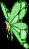 Зелёная бабочка - Картинки бабочки анимашки