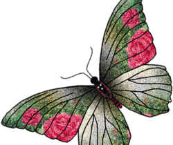Бабочка мерцающая - Картинки бабочки анимашки