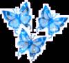 Блестящие голубые бабочки - Картинки бабочки анимашки