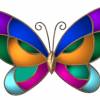 Бабочка анимация - Картинки бабочки анимашки