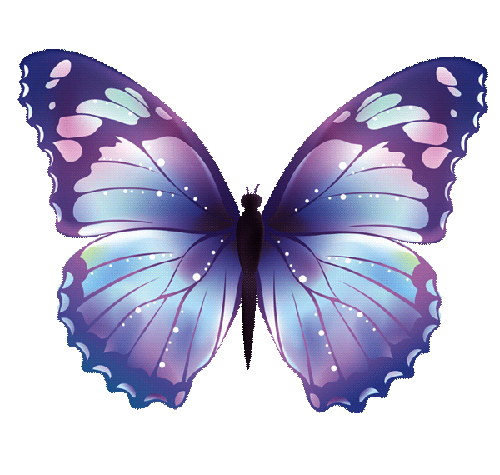 butterfly clipart gif - photo #28