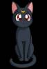 Черный кот - Смайлики и маленькие картинки анимашки