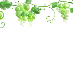 Зелёный виноград - Картинки клипарт