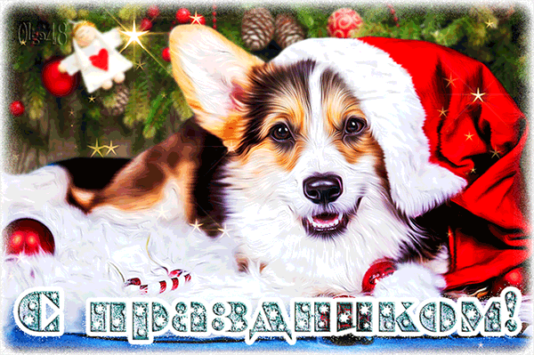 Новогодняя открытка с изображением собаки - Год Собаки