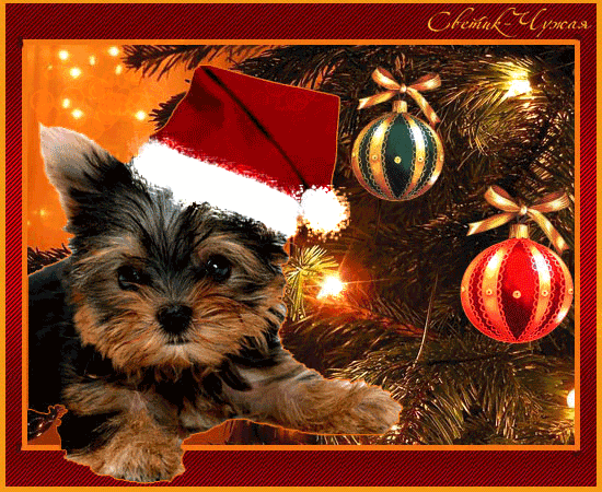 Картинка с новогодней собакой - Год Собаки