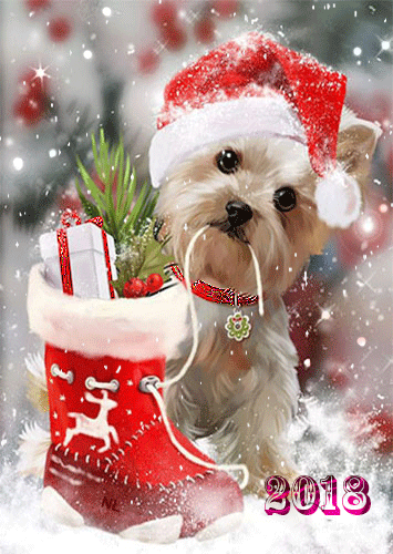 Собачка в колпаке Деда мороза - Год Собаки