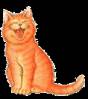 Смеющийся рыжий кот - Анимационные картинки