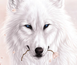 Белый волк - Анимационные картинки