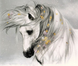 Лошадь белая - Блестящие картинки glitter