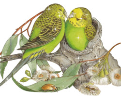 Зелёные попугайчики - Блестящие картинки glitter
