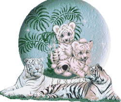 Белые тигры - Блестящие картинки glitter
