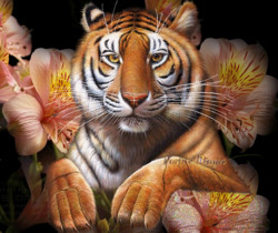 Тигр - Блестящие картинки glitter