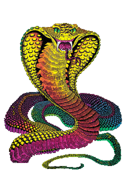 Змея в Магии 68852774