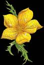 Желтый цветок - Цветы GIF