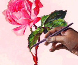 Рисунок розы - Цветы GIF