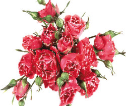 Блестящий букет роз - Цветы GIF