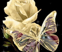Розы и бабочка - Цветы GIF