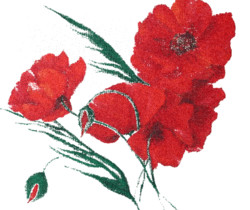 Красные Маки - Цветы GIF