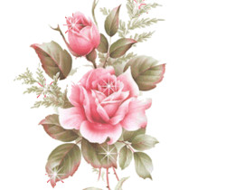 Нежная роза - Цветы GIF
