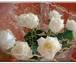 Блестящие белые розы
