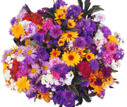Красочный большой букет цветов - Цветы GIF