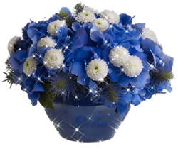 Букет синих и белых цветов - Цветы GIF