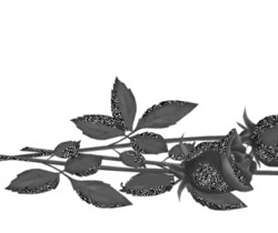 Черные блестящие розы - Цветы GIF