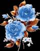 Синие Розы - Цветы GIF