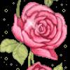 Розовые розы - Цветы GIF