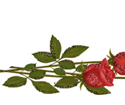Красные розы переливающиеся - Цветы GIF