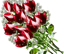 Цветы роз - блестящие - Цветы GIF
