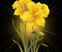 Желтые цветы - блестящая открытка - Цветы GIF