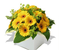 Желтый букет - Цветы GIF