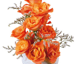 Оранжевые розы в вазе - Цветы GIF